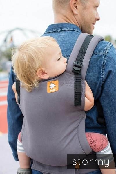 Tula Free-to-Grow Baby Carrier - Stormy